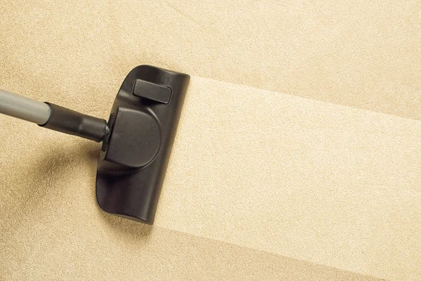 Expert Carpet Cleaning